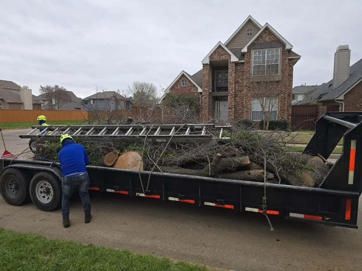 Expert Crown Reduction with proper safety equipment in Elizabethtown